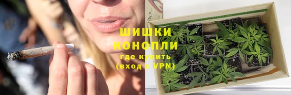 spice Лагань