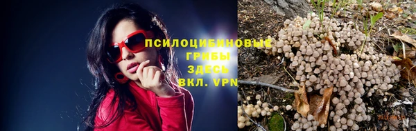 spice Лагань